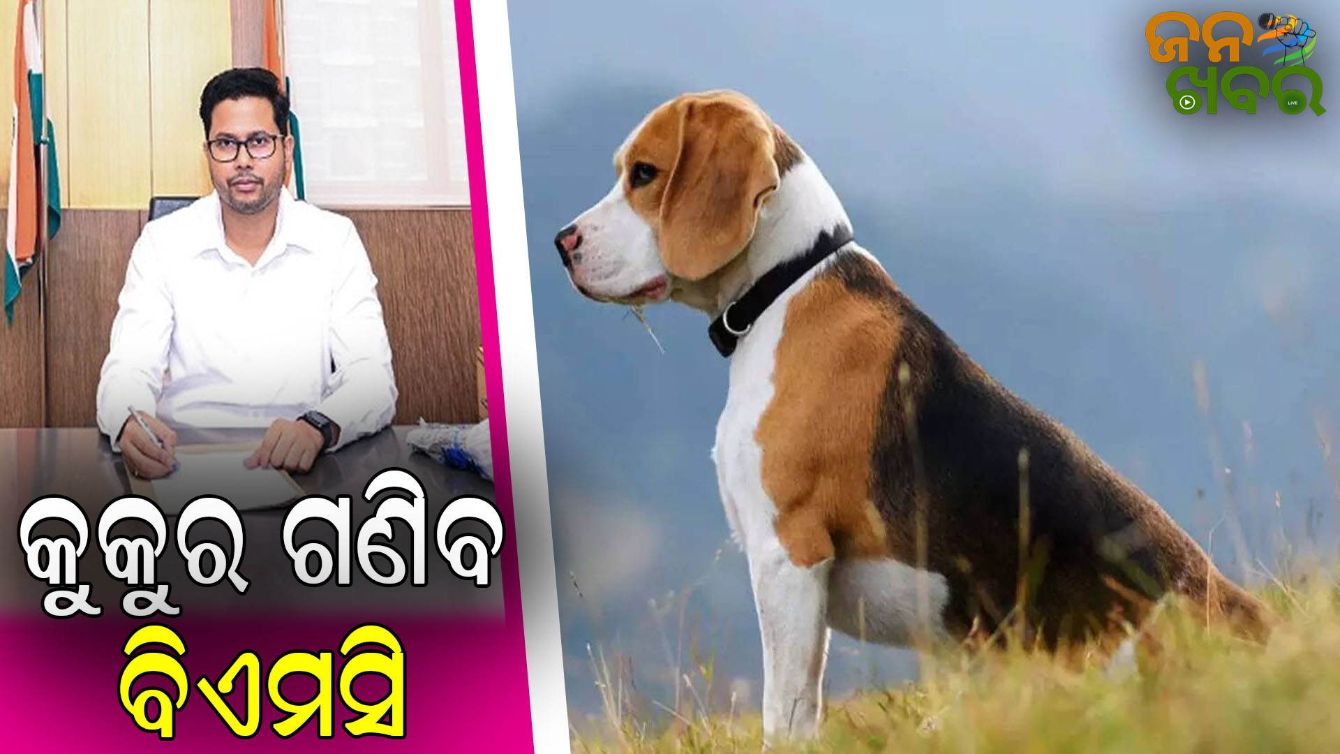 ସେପ୍ଟେମ୍ବର ଦ୍ଵିତୀୟ ସପ୍ତାହରୁ କୁକୁର ଗଣନା ଆରମ୍ଭ କରିବ BMC