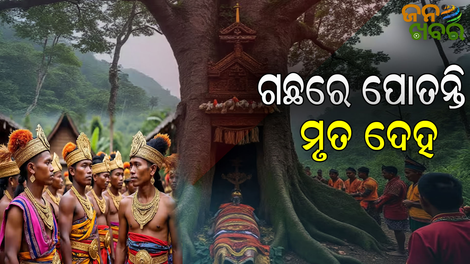 ମଣିଷ ଏବଂ ପ୍ରକୃତି ମଧ୍ୟରେ ଅତୁଟ ସମ୍ପର୍କର ପ୍ରତୀକ ଏହି ଜନଜାତି, ମୃତ୍ୟୁ ହେଲେ ପାଳନ୍ତି ଉତ୍ସବ