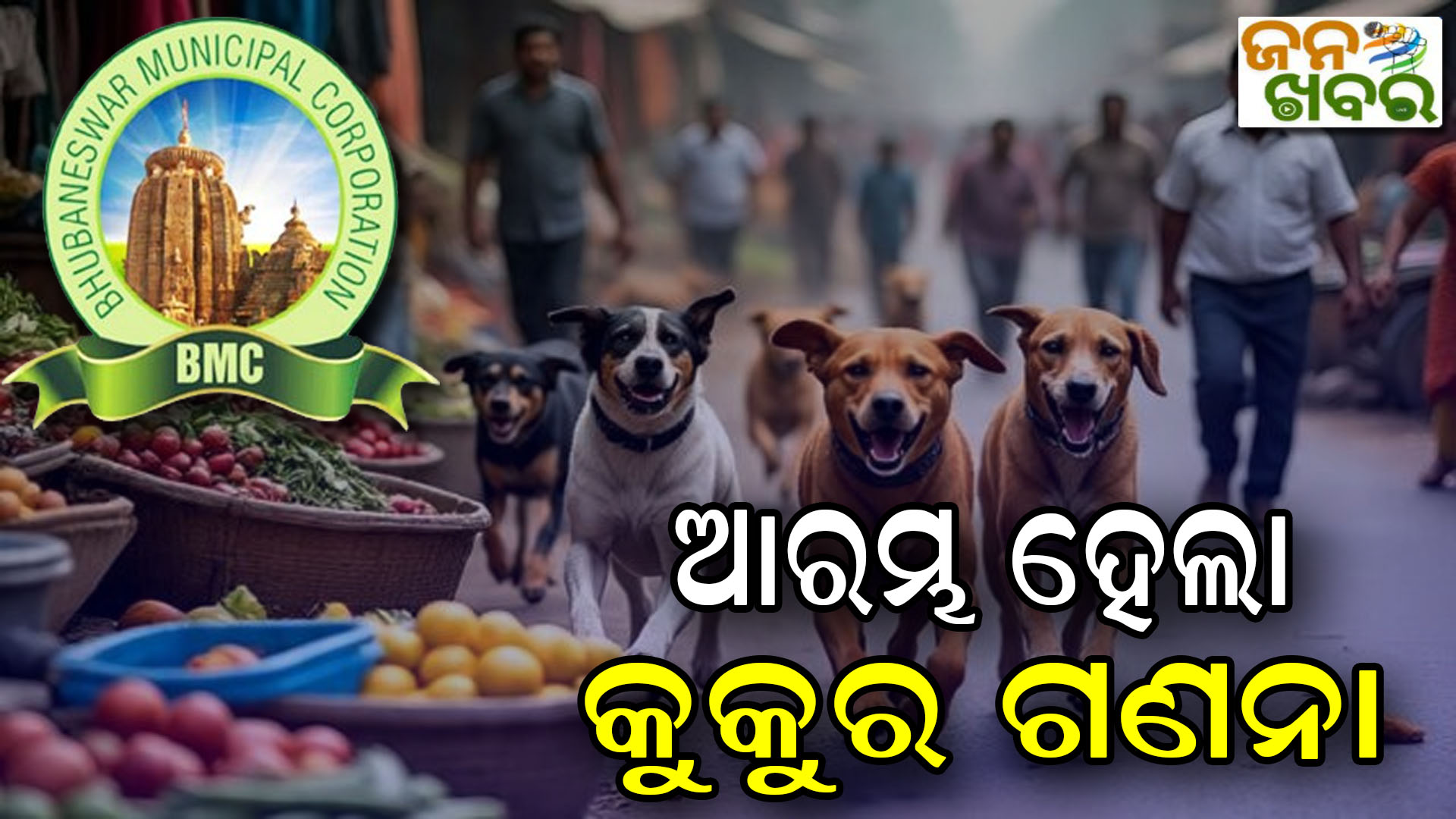 ଆରମ୍ଭ ହେଲା ବୁଲାକୁକୁର ଗଣନା, ୨୧ ପର୍ଯ୍ୟନ୍ତ ପ୍ରଥମ ପର୍ଯ୍ୟାୟ